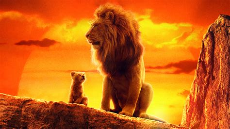 lion king wallpaper hd|lion king background images.